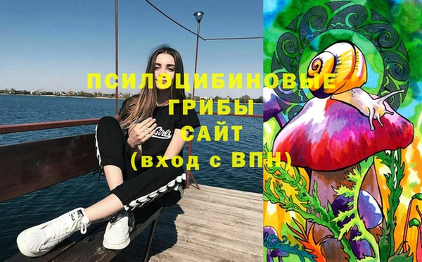соль ск Пестово