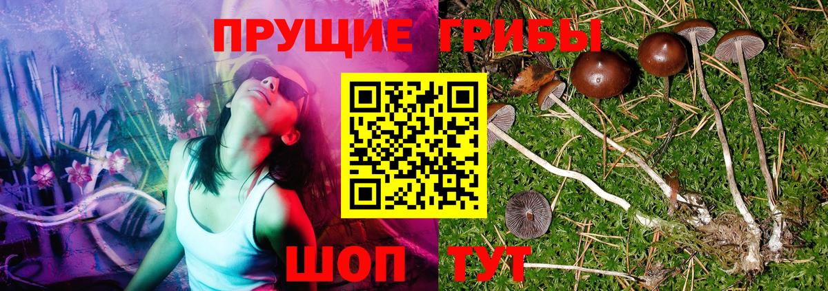 Галлюциногенные грибы мухоморы  Вход с VPN  Киреевск 